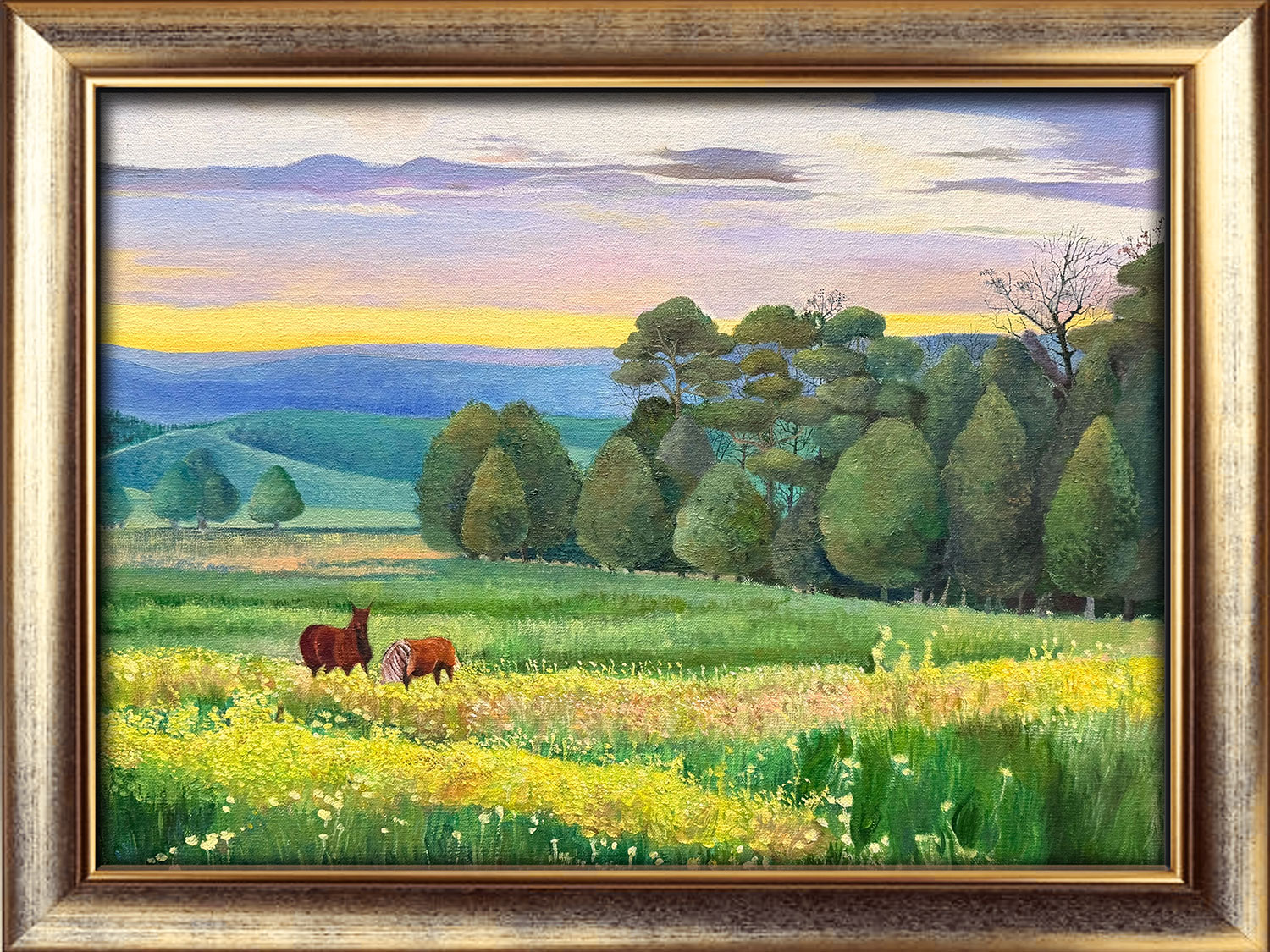 Dawn at Staubach Creek Ranch